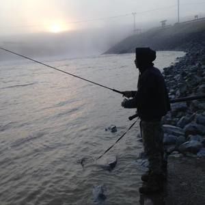 Meet your Posher, Randy